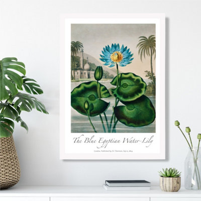 Artze Wall Art Vintage Floral Exhibition Egyptian Water Lily Framed Print Size: A3 With White Frame from B&Q