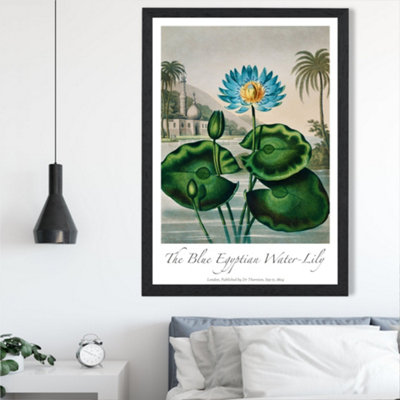 Artze Wall Art Vintage Floral Exhibition Egyptian Water Lily Framed Print Size: A2 With Black Frame from B&Q