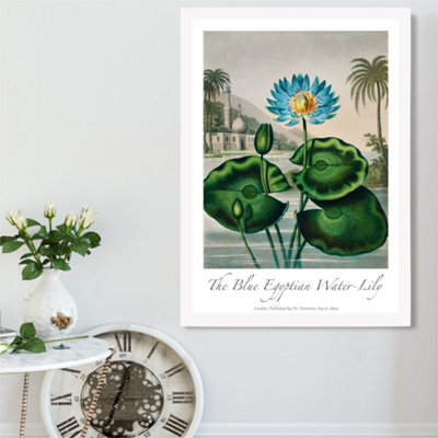 Artze Wall Art Vintage Floral Exhibition Egyptian Water Lily Framed Print Size: A2 With White Frame from B&Q