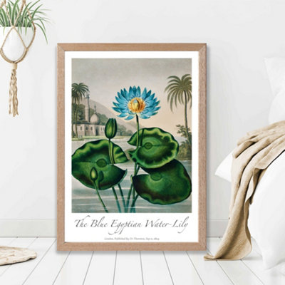 Artze Wall Art Vintage Floral Exhibition Egyptian Water Lily Framed Print Size: A2 With Oak Frame from B&Q