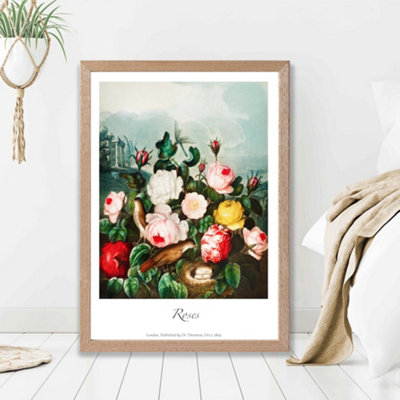 Artze Wall Art Vintage Floral Exhibition Cottage Roses Framed Print Size: A2 With Oak Frame from B&Q