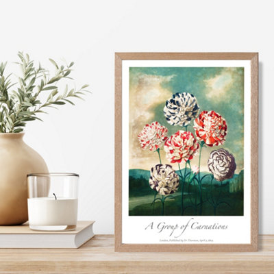 Artze Wall Art Vintage Floral Exhibition Carnation Flowers Framed Print Size: A4 With Oak Frame from B&Q