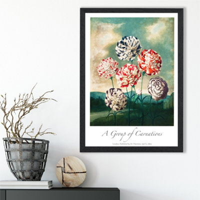 Artze Wall Art Vintage Floral Exhibition Carnation Flowers Framed Print Size: A3 With Black Frame from B&Q