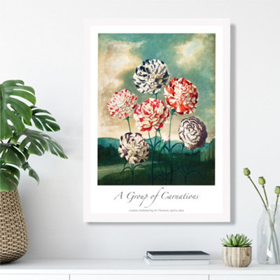 Artze Wall Art Vintage Floral Exhibition Carnation Flowers Framed Print Size: A3 With White Frame from B&Q