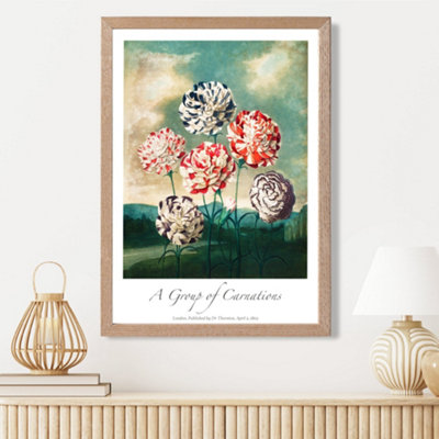 Artze Wall Art Vintage Floral Exhibition Carnation Flowers Framed Print Size: A3 With Oak Frame from B&Q