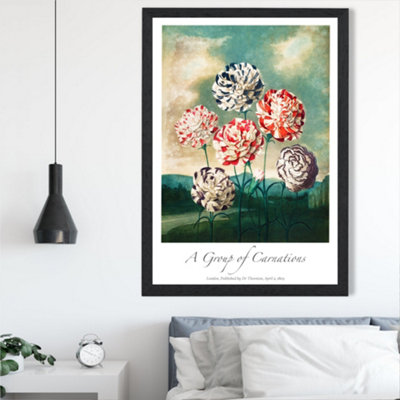 Artze Wall Art Vintage Floral Exhibition Carnation Flowers Framed Print Size: A2 With Black Frame from B&Q