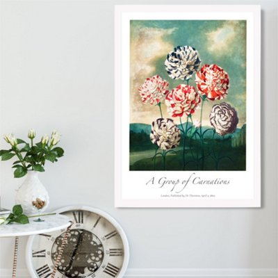 Artze Wall Art Vintage Floral Exhibition Carnation Flowers Framed Print Size: A2 With White Frame from B&Q