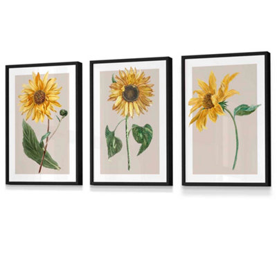 Artze Wall Art Vintage Sunflowers On Beige Set Of 3 Wall Art Prints With Black Frame. Size: A4 from B&Q