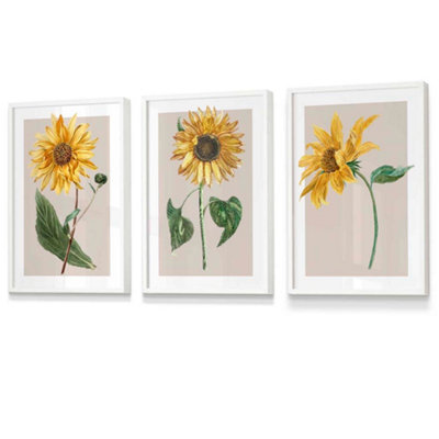 Artze Wall Art Vintage Sunflowers On Beige Set Of 3 Wall Art Prints With White Frame. Size: A4 from B&Q