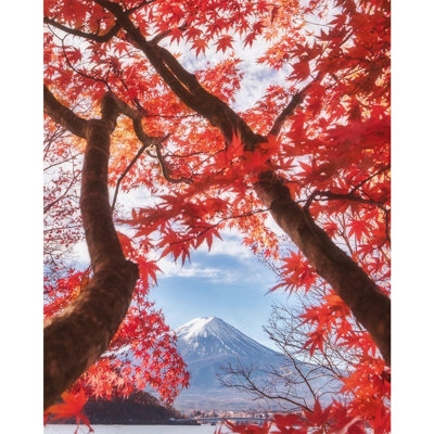 Pyramid International Mount Fuji Canvas Print White/red/blue (50Cm X 40Cm) from B&Q