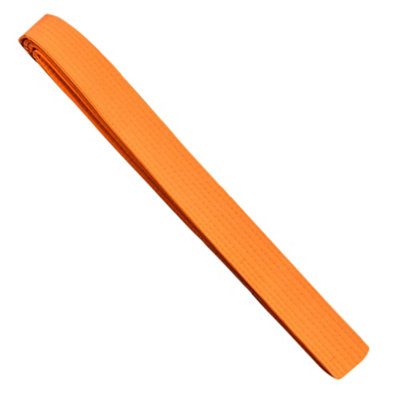  - Urban Fight Martial Arts Belt Orange (320Cm)