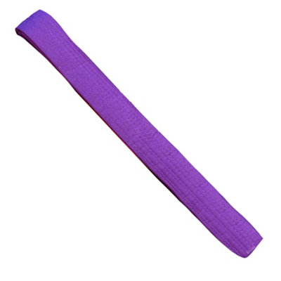  - Urban Fight Martial Arts Belt Purple (320Cm)