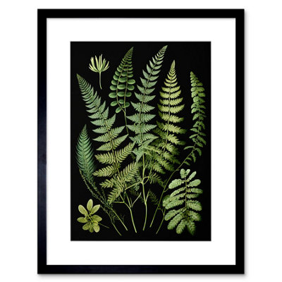Artery8 Wall Art Print Fern Fronds Detailed Leaves Botanical Artwork Framed 9X7 Inch