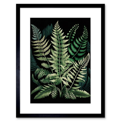 Artery8 Wall Art Print Different Fern Fronds Detailed Leaves Artwork Framed 9X7 Inch