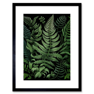 Artery8 Wall Art Print Fern Fronds Ernst Haeckel Style Artwork Framed 9X7 Inch from B&Q
