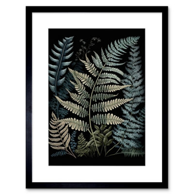 Artery8 Wall Art Print Fern Frond Species Detailed Botanical Artwork Framed 9X7 Inch