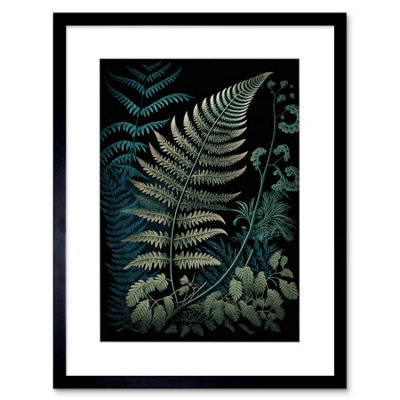 Artery8 Wall Art Print Detailed Fern Frond Species Botanical Artwork Framed 9X7 Inch