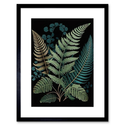 Artery8 Wall Art Print Detailed Leaves Fern Fronds Botanical Artwork Framed 9X7 Inch