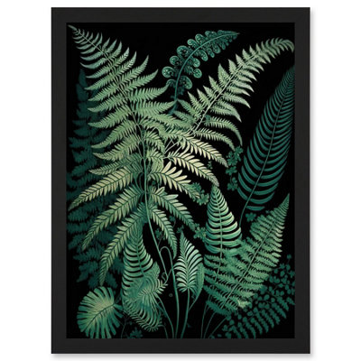 Artery8 Ernst Haeckel Style Fern Fronds Botanical Detailed Wall Art PrintA4 Size