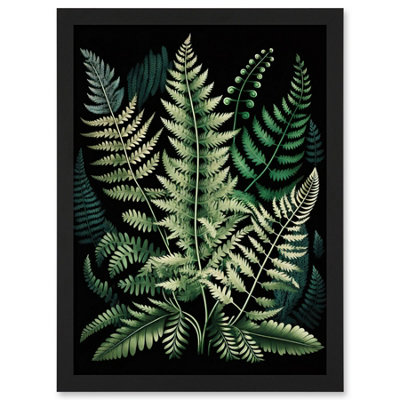 Artery8 Different Fern Fronds Detailed Leaves Illustration Wall Art PrintA4 Size