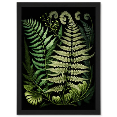 Artery8 Ernst Haeckel Style Fern Fronds Illustration Wall Art PrintA4 Size