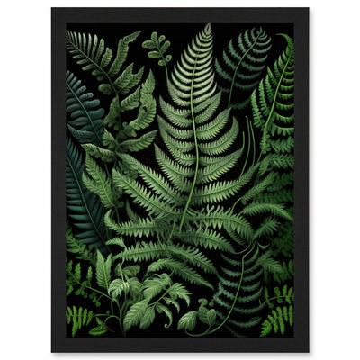 Artery8 Fern Fronds Illustration Ernst Haeckel Style Wall Art PrintA4 Size