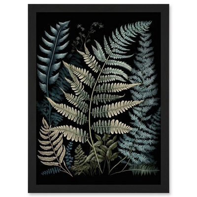 Artery8 Fern Frond Species Detailed Botanical Illustration Wall Art PrintA4 Size from B&Q