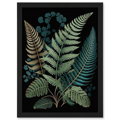 Artery8 Detailed Leaves Fern Fronds Botanical Illustration Wall Art PrintA4 Size from B&Q