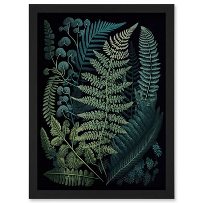 Artery8 Leaf Illustration Fern Fronds Ernst Haeckel Style Wall Art PrintA4 Size