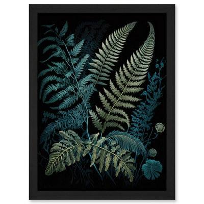 Artery8 Ernst Haeckel Style Leaf Illustration Fern Fronds Wall Art PrintA4 Size