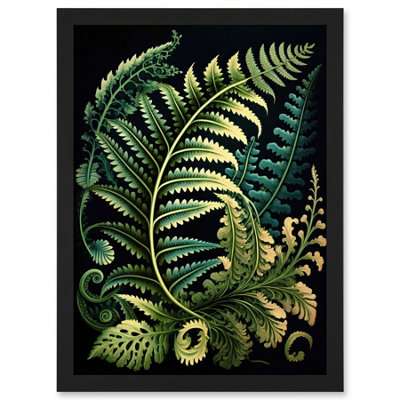 Artery8 Fern Fronds Ernst Haeckel Style Leaf Illustration Wall Art PrintA4 Size