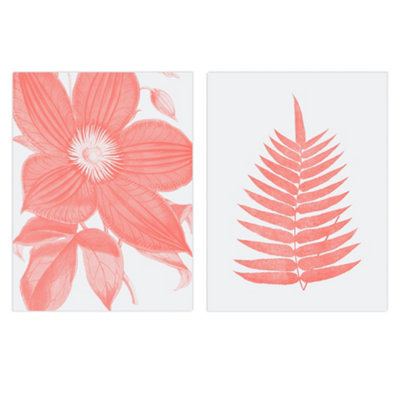 B&Q -  Wall Art Print Set Of 2 Calm Flower And Fern Frond Coral Pink Plant Botanical Aesthetic Illustration Wall Art