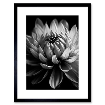 Artery8 Wall Art Print Macro Close Up Dahlia Flower Black And White Photo Artwork Framed 9X7 Inch from B&Q