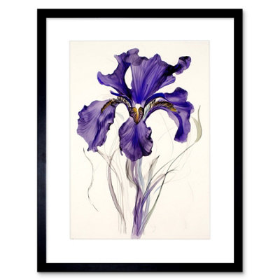 Artery8 Wall Art Print Iris Reticulata Watercolour Flower Bloom Drawing Artwork Framed 9X7 Inch from B&Q