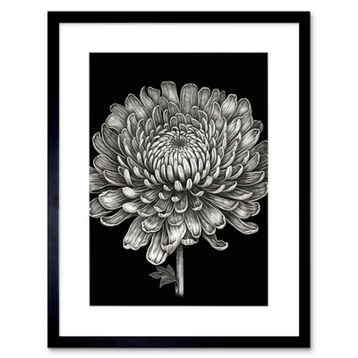 Artery8 Wall Art Print Detailed Chrysanthemum Flower Bloom Artwork Framed 9X7 Inch from B&Q