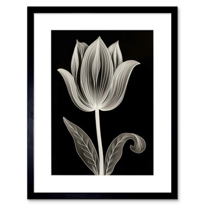 Artery8 Wall Art Print A Single Tulip Flower Black And White Folk Artwork Framed 9X7 Inch from B&Q