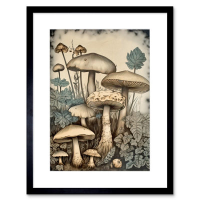 B&Q -  Wall Art Print Mushroom Fungi Watercolour Vintage Cottagecore Aesthetic Rustic Decor Artwork Framed 9X7 Inch