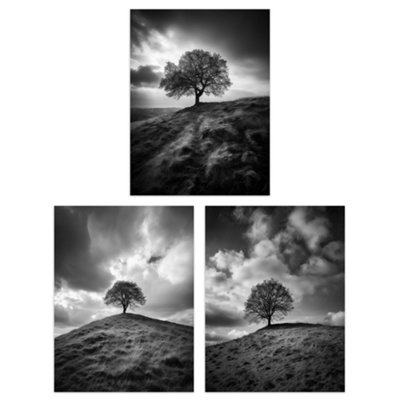 B&Q -  Wall Art Print Set Of 3 Lone Tree On A Hill Black And White Photographs Countryside Field Landscape