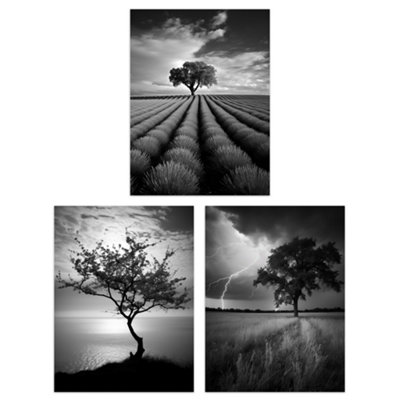 Artery8 Wall Art Print Set Of 3 Lone Tree And Storm Clouds Black And White Photographs Atmospheric Coastal Landscape from B&Q