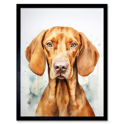 Artery8 Framed Wall Art Hungarian Vizsla Dog Soft Watercolour Artwork Golden Rust Teal Bright Portrait12X16 Inch from B&Q