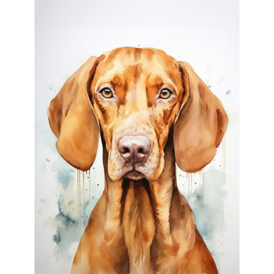 Artery8 Unframed Wall Art Hungarian Vizsla Dog Soft Watercolour Artwork Golden Rust Teal Bright Portrait12X16 Inch from B&Q