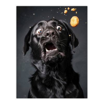 Artery8 Unframed Wall Art Funny Black Labrador Dog Lover Treat Catch Photo12X16 Inch from B&Q