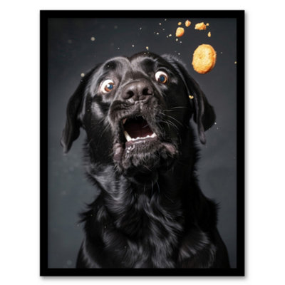 Artery8 Framed Wall Art Funny Black Labrador Dog Lover Treat Catch Photo Poster12X16 Inch from B&Q