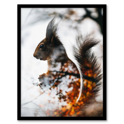 Artery8 Squirrel Lover Autumn Photo Woodland Animal Poster Wall Art PrintA4 Size from B&Q