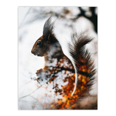 Artery8 Unframed Wall Art Squirrel Lover Autumn Photo Woodland Animal12X16 Inch from B&Q