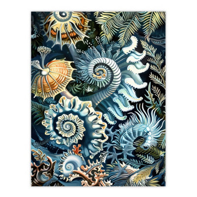 Artery8 Unframed Wall Art Sea Ocean Life Coral Reef Forms Design12X16 Inch from B&Q