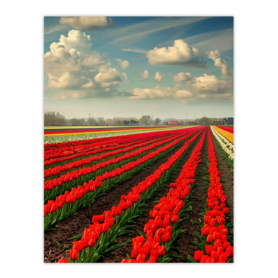 B&Q -  Unframed Wall Art Tulip Fields Blue Sky Painting Holland Modern12X16 Inch