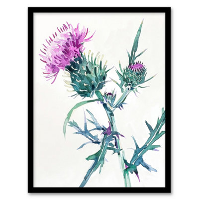 Artery8 Framed Wall Art Scottish Thistle Flower Bloom Floral Watercolour Print12X16 Inch from B&Q