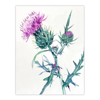 Artery8 Unframed Wall Art Scottish Thistle Flower Bloom Floral Watercolour12X16 Inch from B&Q