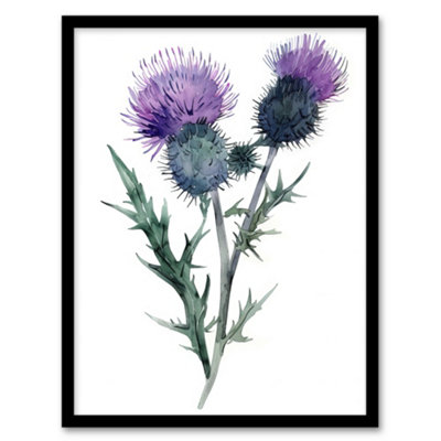 Artery8 Two Scottish Thistle Flower Blooms Watercolour Wall Art PrintA4 Size from B&Q